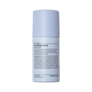 Dry Shampoo Style Refresher