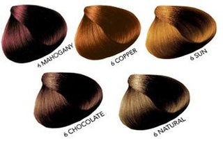 All Nutrient Color Kit Norcalsalonservices.com